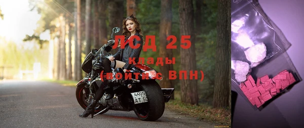 шишки Белокуриха