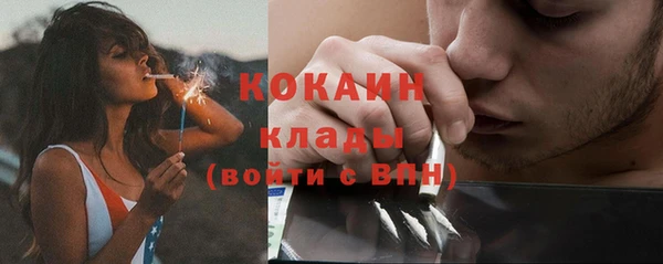 прущий лед Бородино