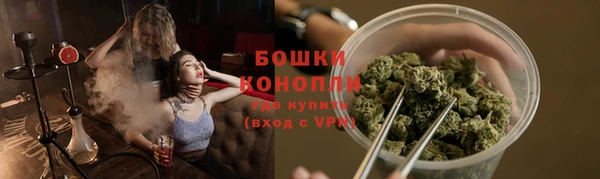 мдпв Бронницы