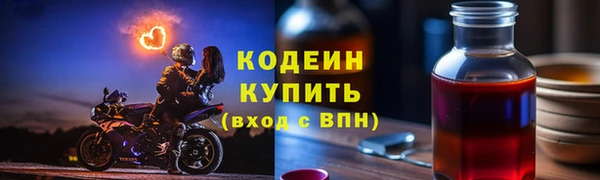 прущий лед Бородино