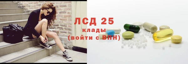 шишки Белокуриха