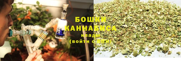 мдпв Бронницы