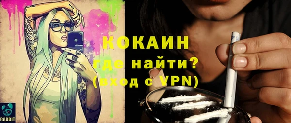прущий лед Бородино