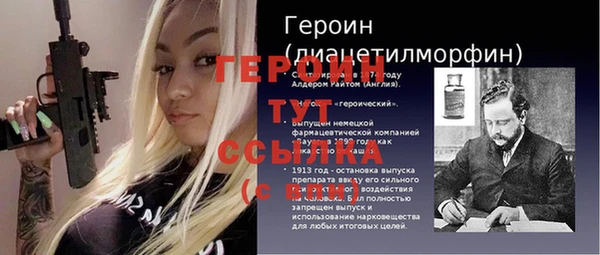 прущий лед Бородино