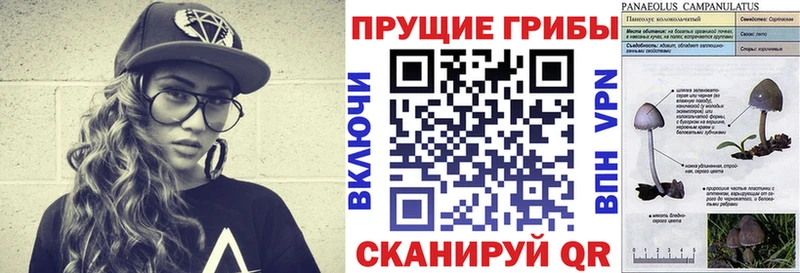 Купить где  Любим  Галлюциногенные грибы ЛСД 